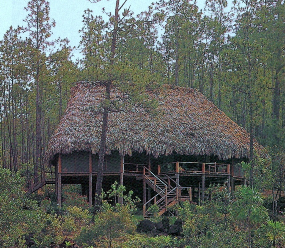 Thatching with cypress and koa